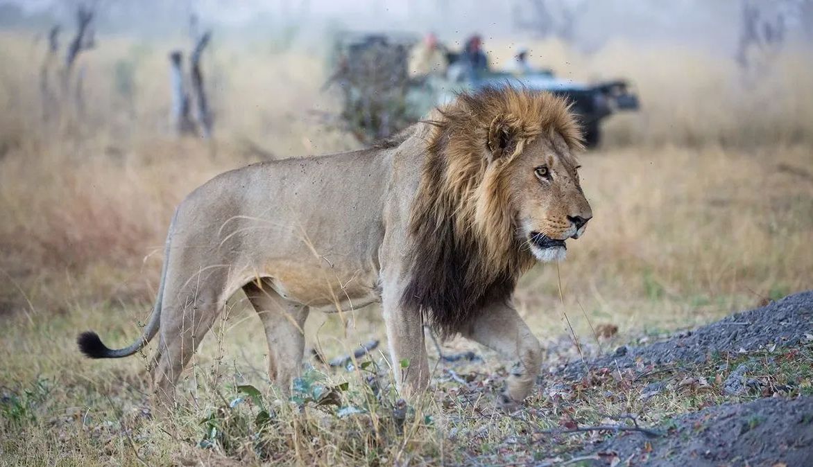 Namibia +/- Botswana advice - both or just one?